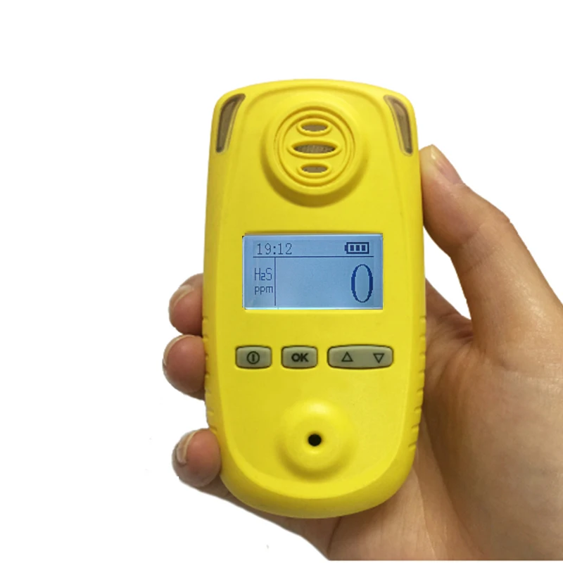 Explosive-proof Portable Industrial single Hydrogen sulfide Gas detector H2S gas monitor