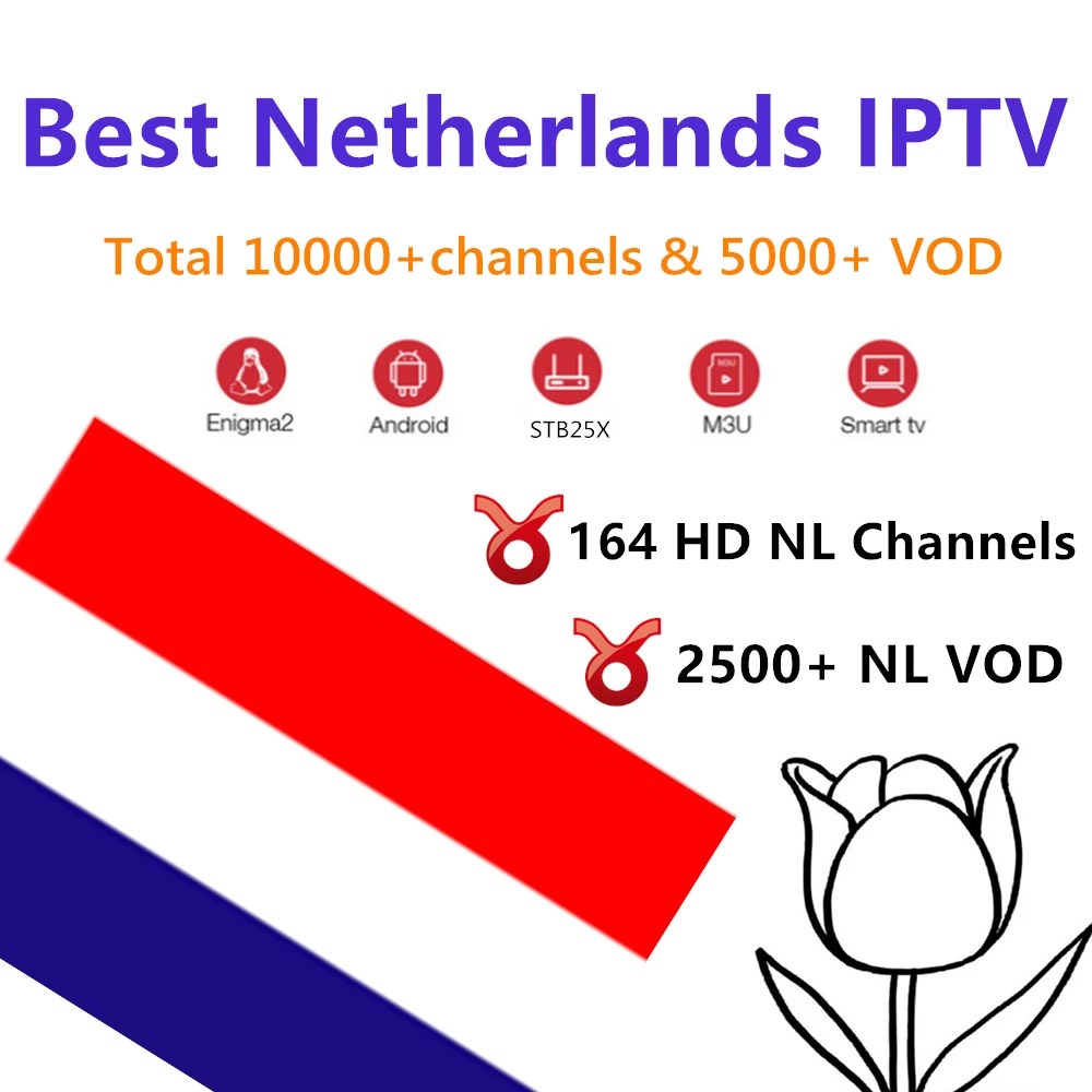 Голландское мировое iptv подписка android m3u Испания Бразилия Франция Великобритания США латино Африка netflix 1 год iptv h96 max tv box