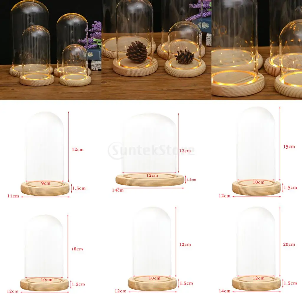 

MagiDeal Clear Glass Display Dome with LED Wood Base Microlandscape Holder