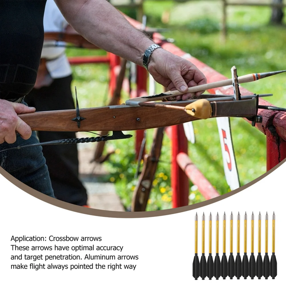 

24pcs Archery Arrows Spine Practical Arrows Durable Chic Practice Arrows