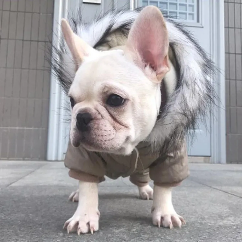 

Hot Sale Pet Dog Jumpsuit Clothes Pet Outdoor Windproof Hoodies Clothing Pet Winter Warm Coat for Small Medium Pet Dog Outfit