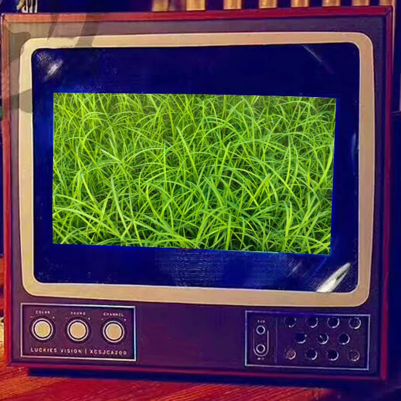 

3D Portable Universal Phone Screen Amplifier Retro Televison Shape Mobile Phone Screen Magnifier ZJ55