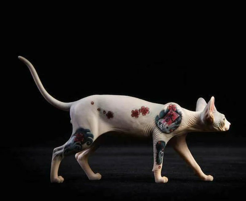 

In stock 1/6 scale animal figure tattoo version hairless cat sphinx model standing or sitting with cat toy.
