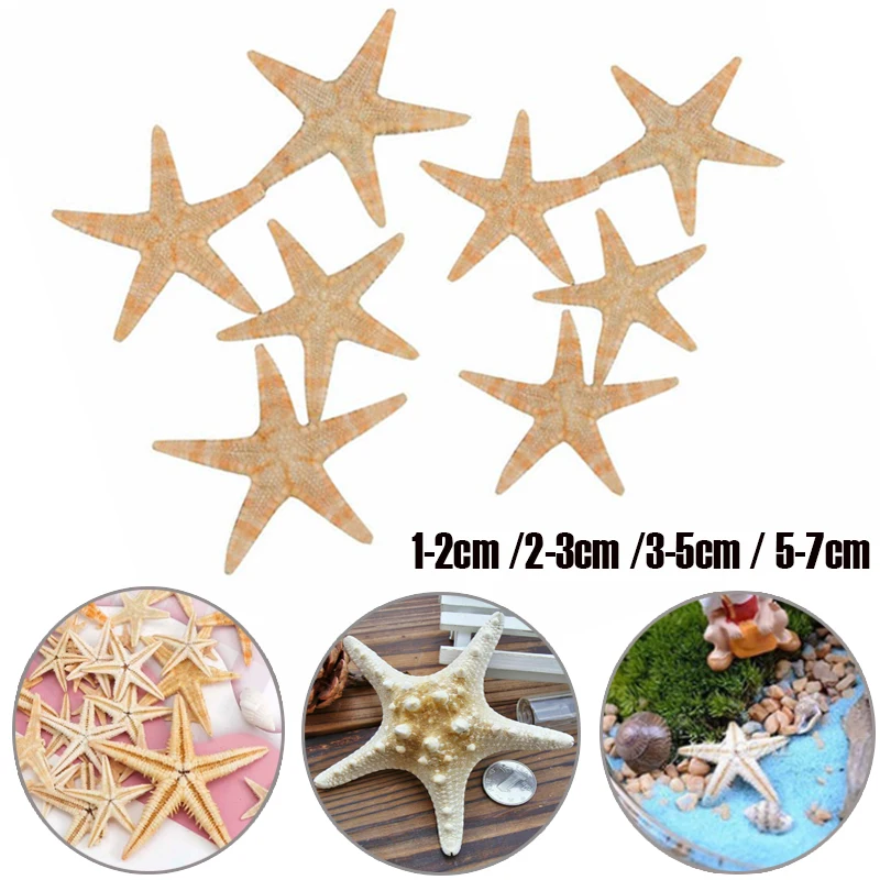 

5/10/25/50PCS 3-5cm 5-7cm Natural Starfish Craft Decoration Sea Stars DIY Beach Cottage Wedding Decor crafts Wedding Decor