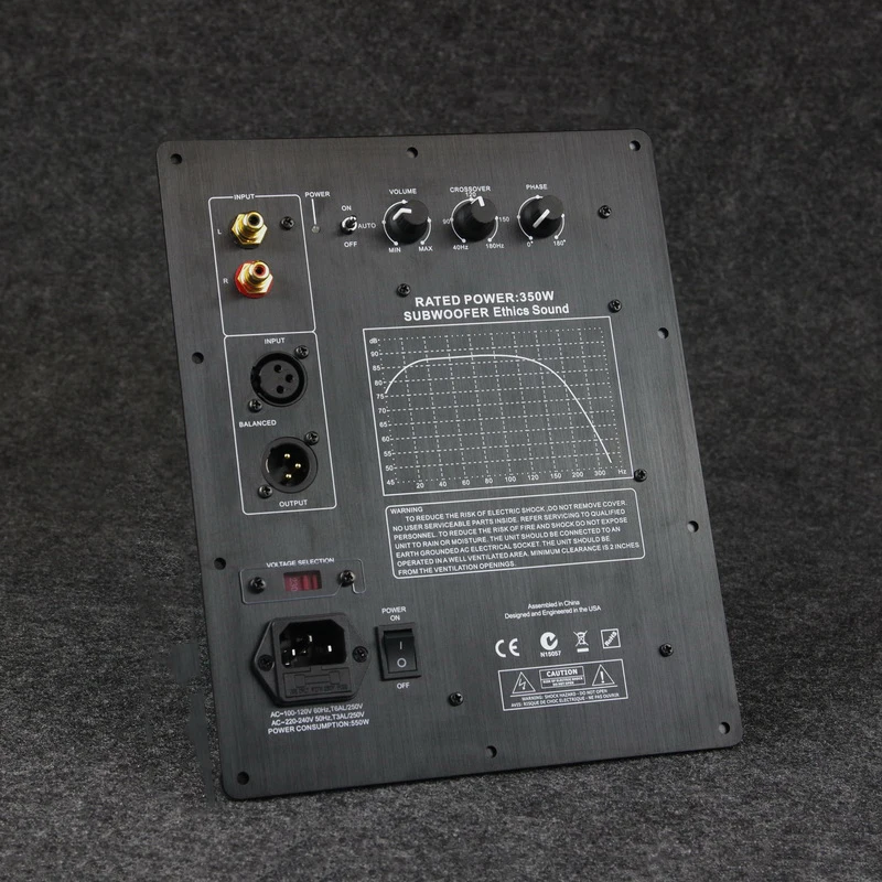 Tarjeta amplificadora de potencia activa Digital, Subwoofer pesado de 110/220V HIFI Mono de 350W, sistema de Audio doméstico profesional de bajos puros