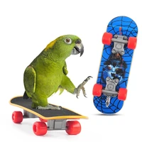 funny training mini skateboard bird supplies skates lovebird canaries perch for parrots for birds calopsita birds accessories
