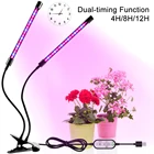 Фитолампа WENNI для выращивания растений, LED лампа полного спектра с USB для выращивания растений в теплице, освесветильник для выращивания овощей, цветов