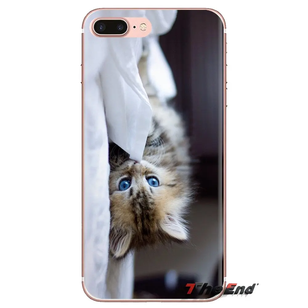Для samsung Galaxy S3 S4 S5 мини S6 S7 край S8 S9 S10 Plus Note 3 4 5 8 9 кошка с голубыми глазами обои