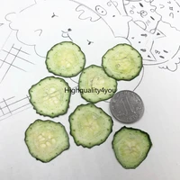 30pcs dried pressed vegetable cucumber slices plant herbarium for exopy jewelry photo frame phone case bookmark craft making