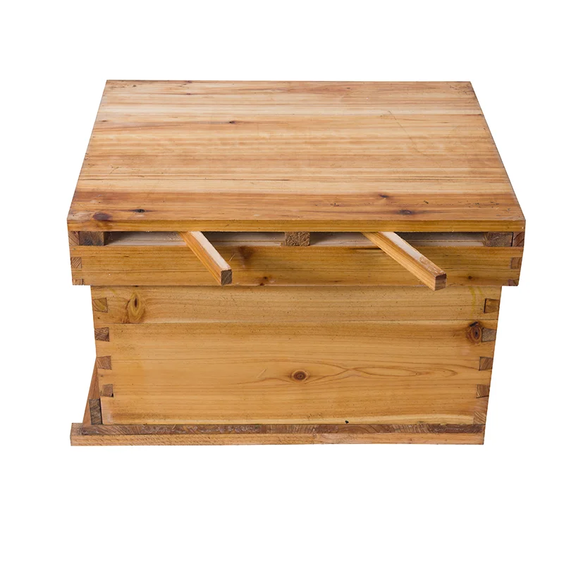 Вощеный одноуровневый улей и 5 шт. оснований для основы пчелового воска в рамке