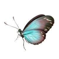Funny Colorful Butterfly Car Stickers Accessories Motorcycle Cover Scratches Waterproof PVC 14cm10cm
