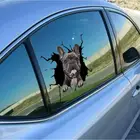 Виниловые автомобильные наклейки с забавной собакой головой в трещинах, наклейки, мотоциклетные водонепроницаемые Автомобильные украшения на бампер, заднее окно, чехол для тележки