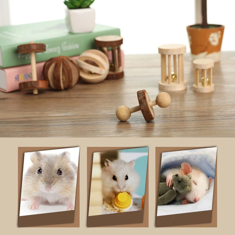 Натуральные деревянные игрушки кролики сосны гантелями Одноколесный самокат