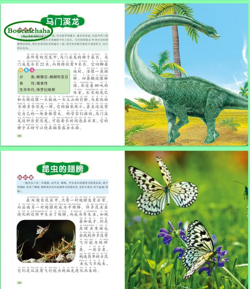 Детская научная книга pinyin 6 шт. оружие насекомые автомобильная энциклопедия