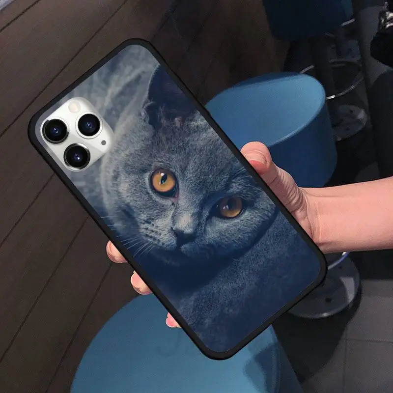 

Chartreux cat love funny Phone Case for iPhone 11 12 pro XS MAX 8 7 6 6S Plus X 5S SE 2020 XR Soft silicone