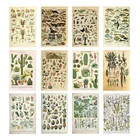 Картина на холсте в стиле ретро с изображением овощей, фруктов и цветов