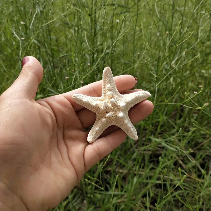 Домашний декор, 3 шт., белая Морская звезда, 3-8 см, белый натуральный палец, Морская звезда, Свадебный декор, морские ракушки, вечерние, бежевые, морская звезда, ремесла