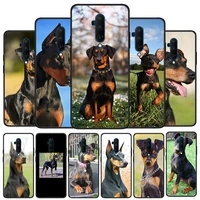german pinscher dog silicone cover for oneplus nord ce 2 n10 n100 9 9r 8t 7t 6t 5t 8 7 6 plus pro phone case shell