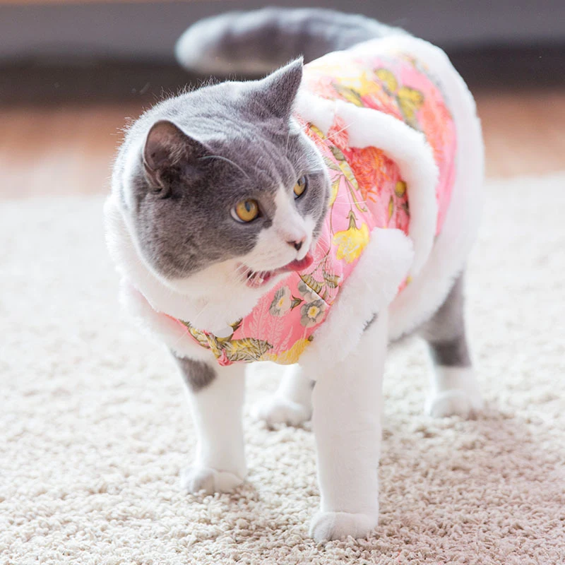 Детской одежды с симпатичными котятами зимние комнатные собачки Одежда для