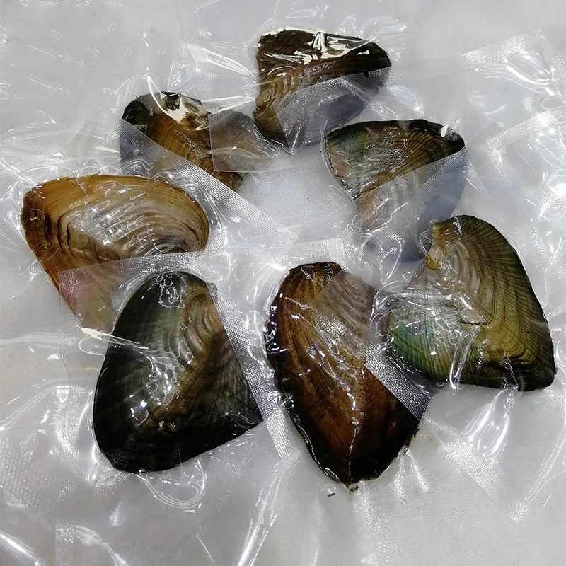 

Oysters Real Pearl Gift Individually Wrapped Vacuum Package 7-8mm Jewelry Shell ракушка с жемчугом