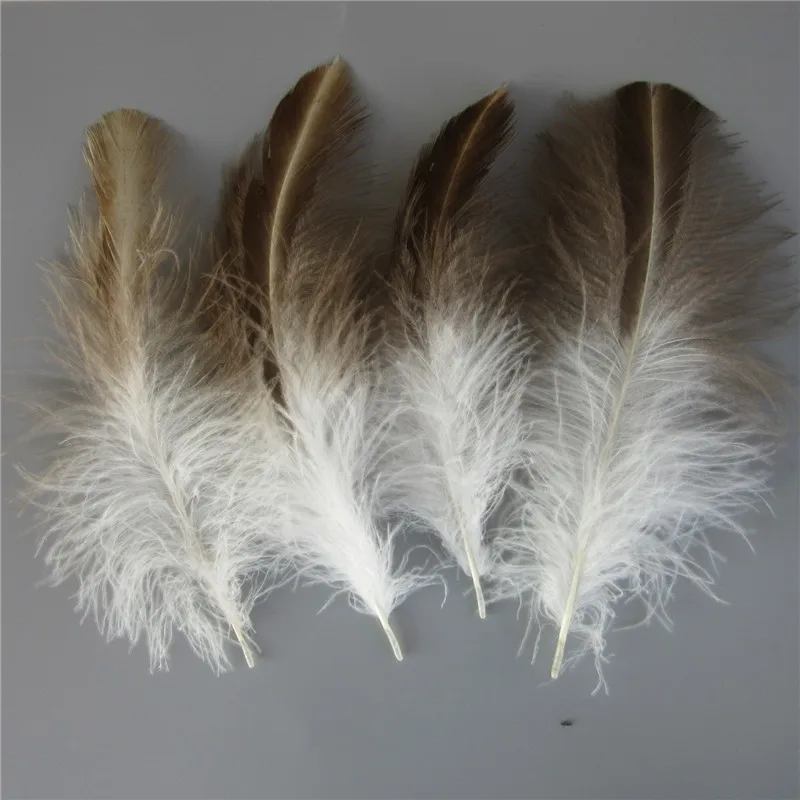 

Wholesale 10-100pcs Real Eagle Feathers for Crafts 25-30cm Quality Rare Eagle Feather for Wedding Decoration Diy Jewelry Plume