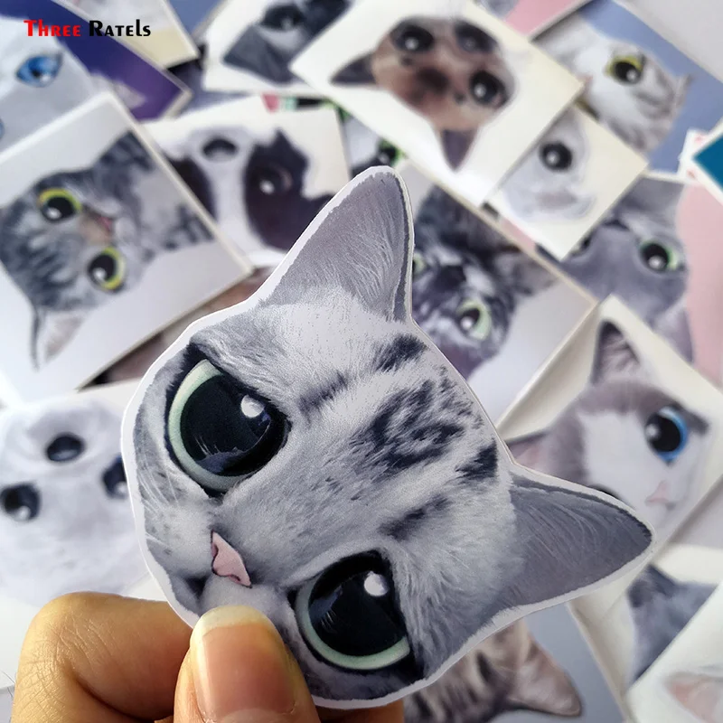 Виниловая наклейка Three Ratels с изображением мультяшного кота из мультфильма сугера