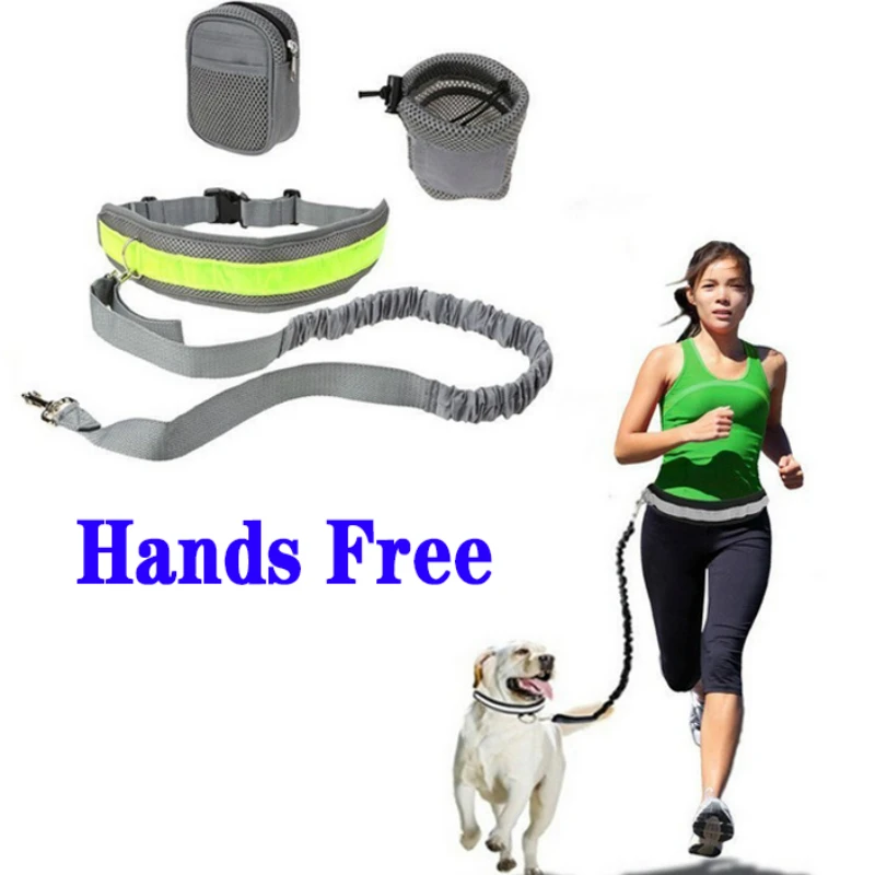 Conjunto de correa para perro, correa el&aacute;stica reflectante para entrenamiento de caminar al aire libre, correr, trotar, suministros para mascotas-0