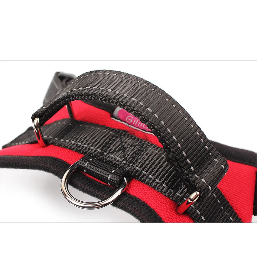 Поводок для собак без открывания консервной банки шлейка домашних животных