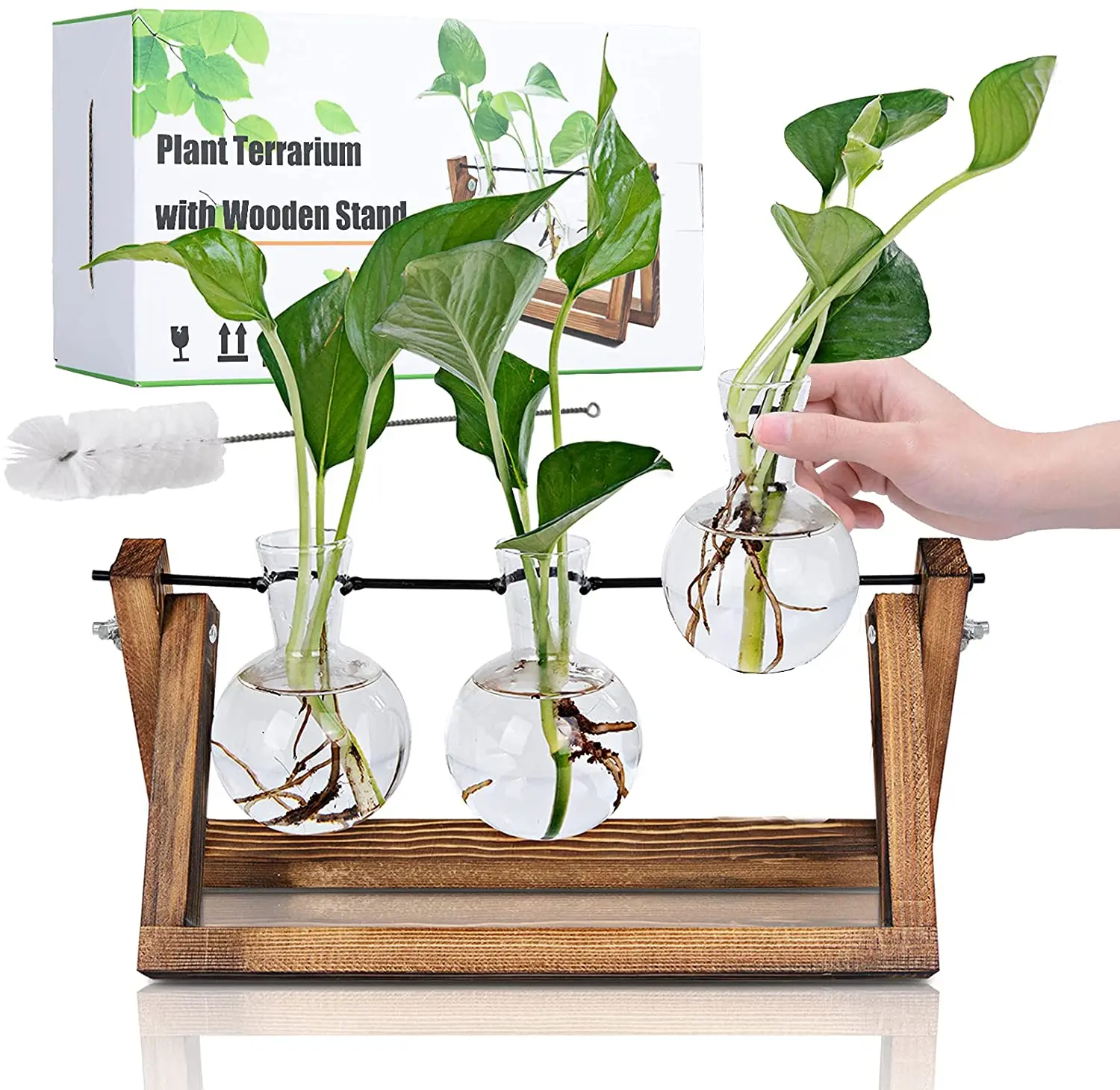 

Hydroponic Glass Vase Plant Propagation Table With Wooden Stand Desktop Home Garden Office Decor Valentine's Gift Accessories