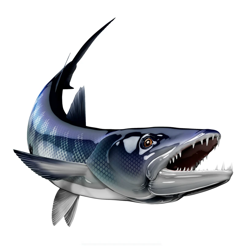 

terror Barracuda Personality Fish Car Stickers Auto Decals 3D Styling Motorcycle Car Decal Accessories 15cm x 15cm