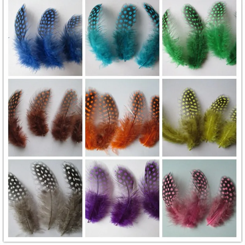 50/перья морской совы много красивых ювелирных изделий плавок цвет платья