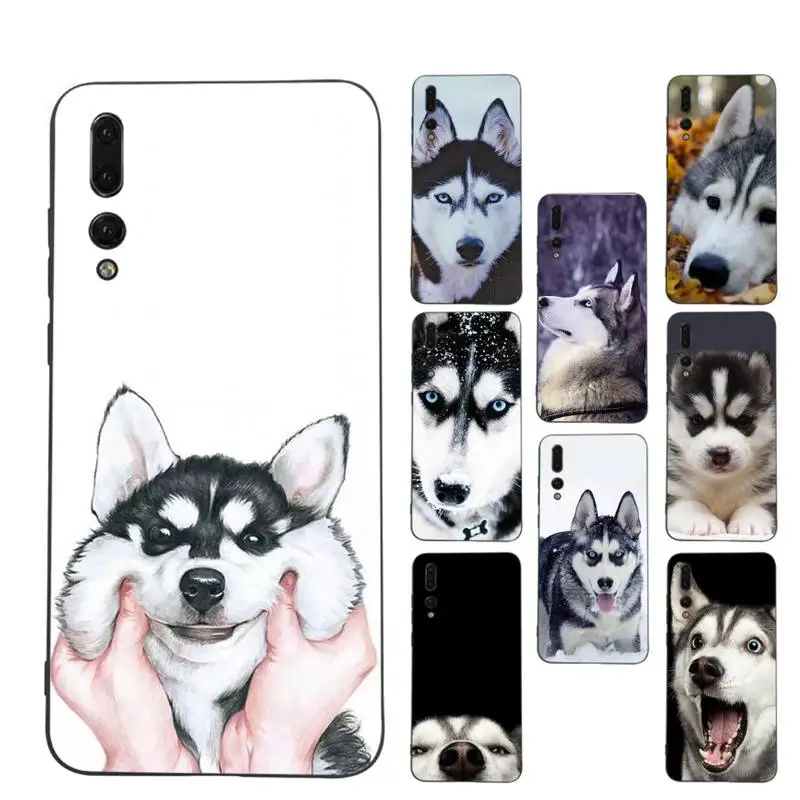 

Alaskan Huskies Dog Phone Case For Huawei P9 P10 P30lite p30 20pro p40lite P30 Soft Silicone Capa