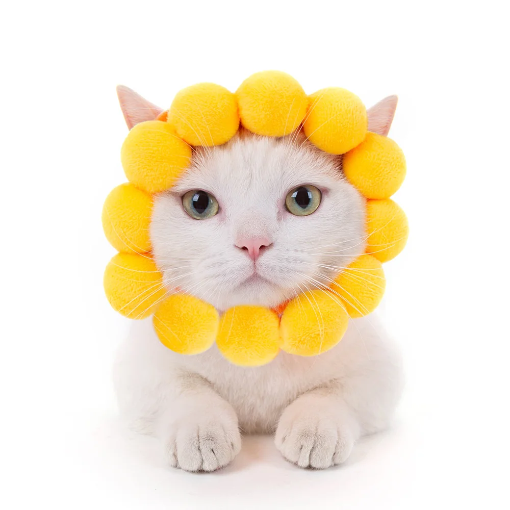 Маленькие собаки котята костюм для вечеринки собака животное заячьи кроличьи
