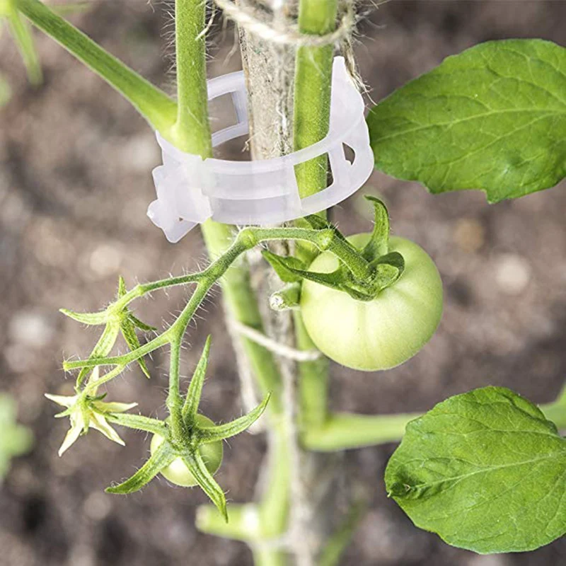 

Plastic Plant Support Clips 50/100Pcs Vine Tomato Stem Vegetable Fixing Clip Garden Greenhouse Accessories 30mm Plant Clips
