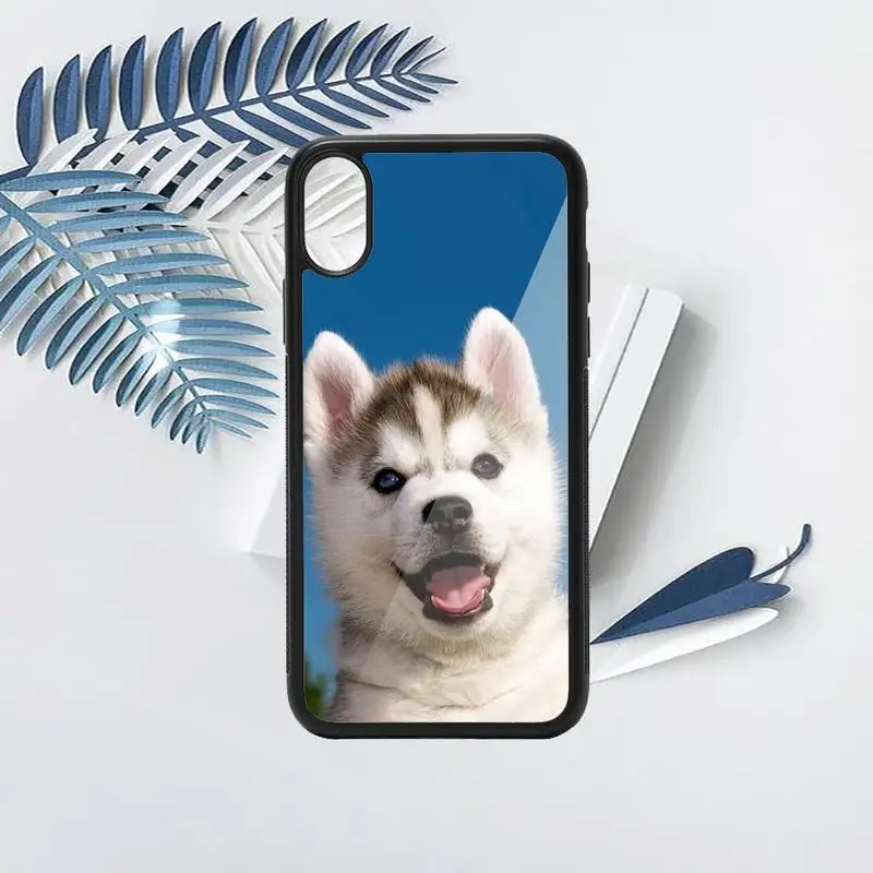 

husky cute dog animal Phone Case PC for iPhone 11 12 pro XS MAX 8 7 6 6S Plus X 5S SE 2020 XR