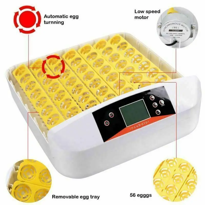 Новейший 56 яиц инкубатор контроль температуры Цифровая автоматическая курочка