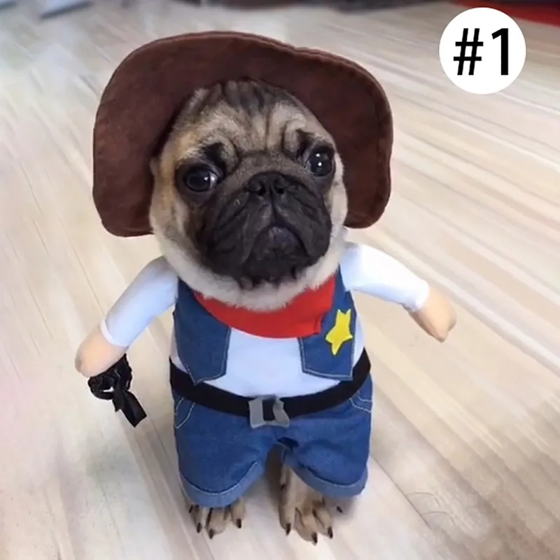 1 шт. Хэллоуин для домашней собаки костюм кота подходит вечеринки Забавные милые