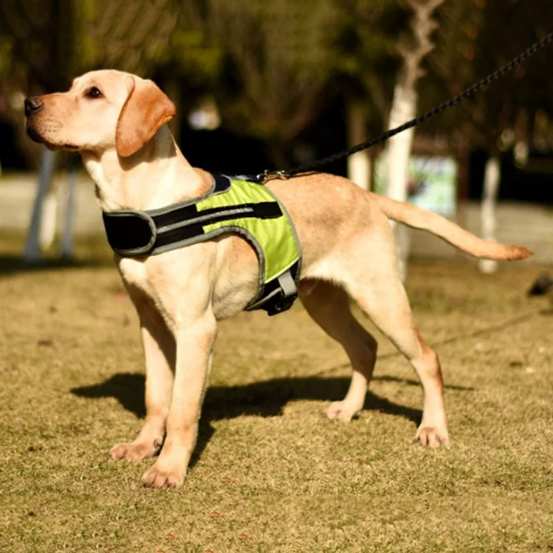 

Pet dog vest harness outdoor polyester harness new K-shaped luminous LED wiring harnesses pet reflective vest harnesses