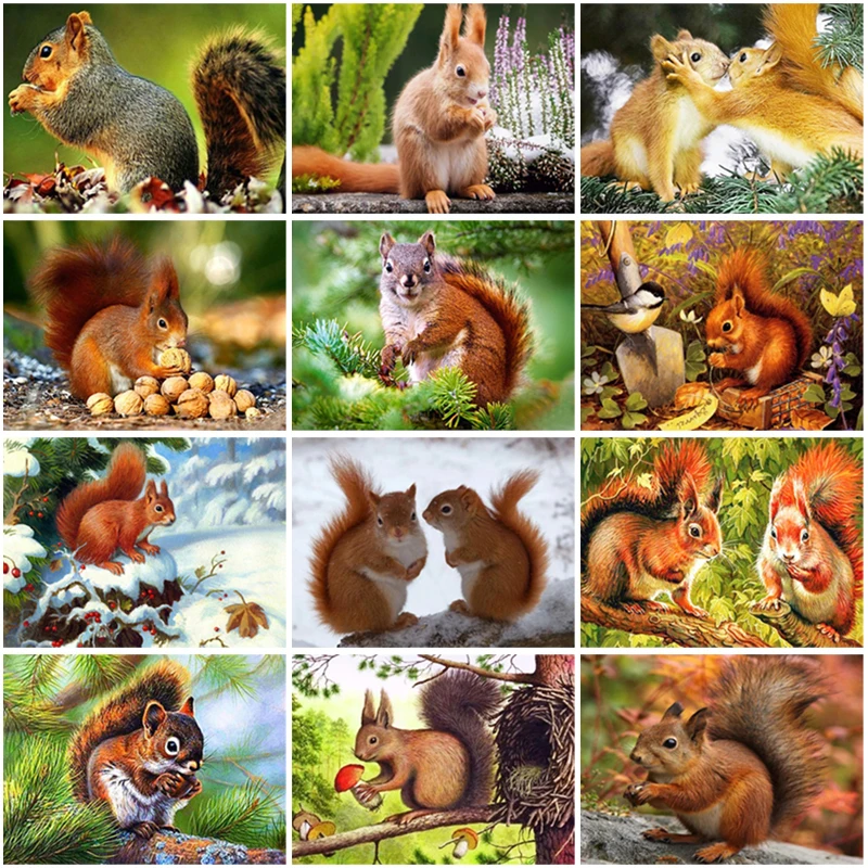 

5D Diamond Embroidery Animals Squirrel Cross Stitch Kit Full Square Round Diamond Painting Rhinestone Picture Handicrafts Gift