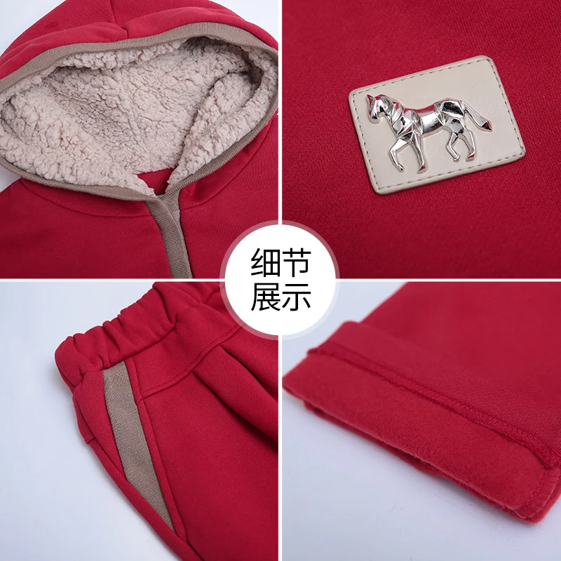 

Winter Tracksuit Women Two Piece Sets Pullover Sweatshirt And Sweatpants Set Female Sportswear Sweat Suits Clothes Women 2020 Ne