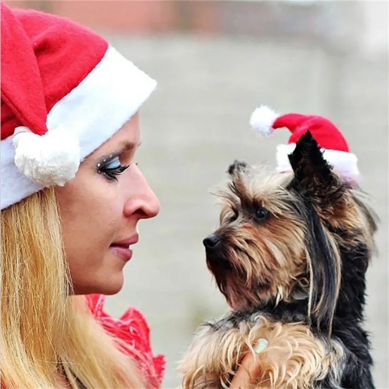 1 pcs Christmas Festival Pet Dog Hats Small Push Decorative Hat for Chihuahua Cat Headwear Costume Accessories | Дом и сад