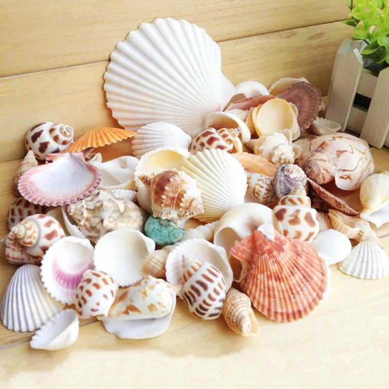 Средиземноморский стиль DIY раковины морской Свадебный декор винтажная мода пляж