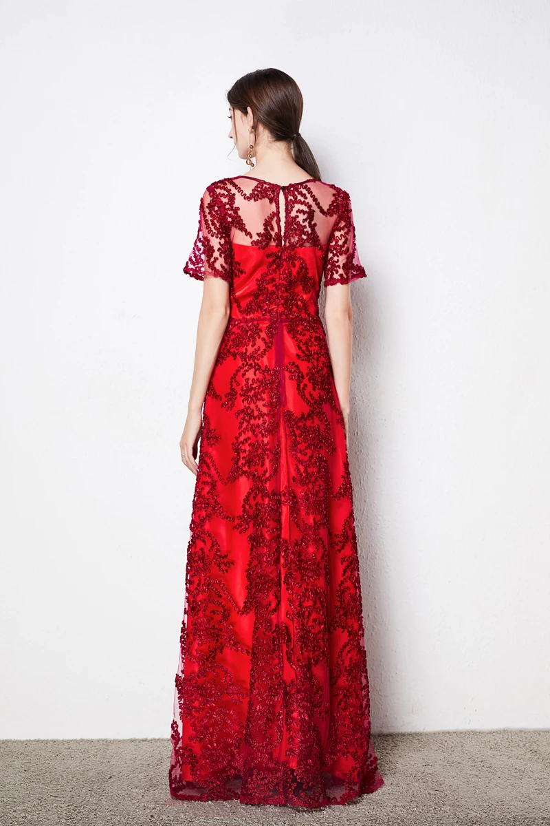 

Women's Runway Dress Sexy V Neck Short Sleeves Embroidery Lace A Line Elegant Fashion Long Party Prom