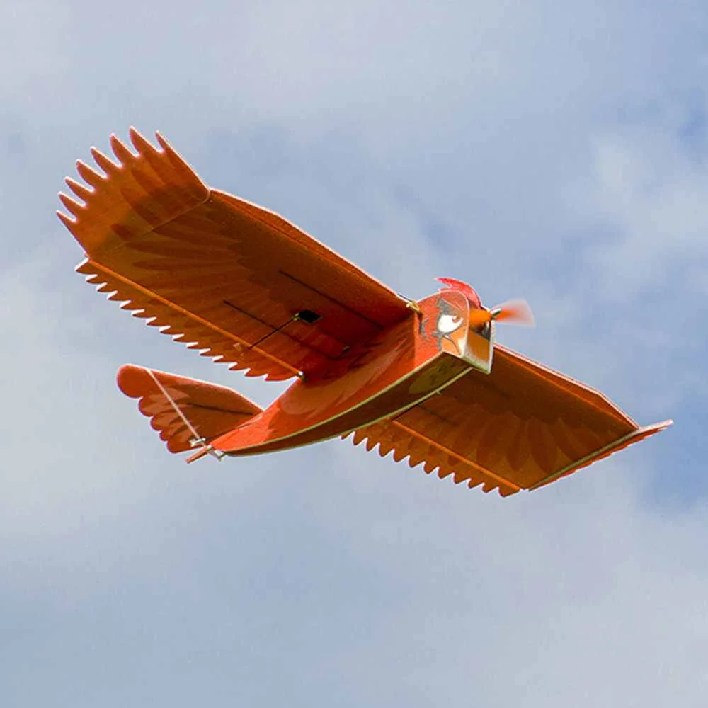 

Dancing Wings Hobby New Biomimetic Northern Cardinal 1170mm Wingspan EPP Foam Slow Flyer RC Airplane KIT/KIT+Motor