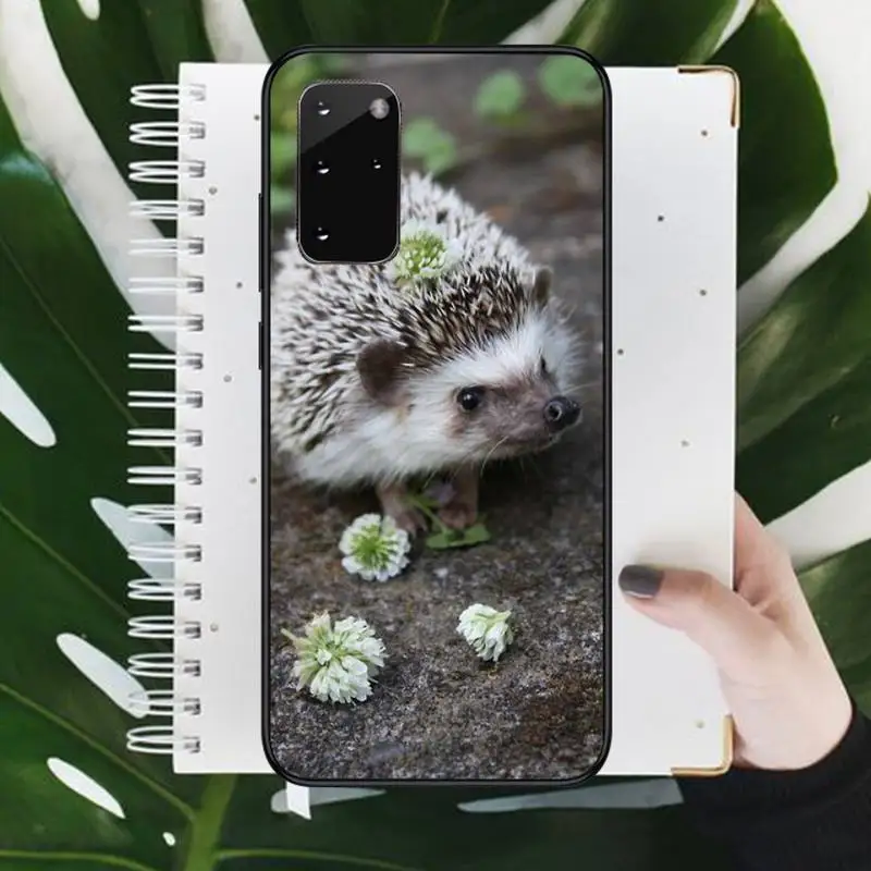 

Cute animal hedgehog Phone Case For Samsung galaxy S 7 8 9 10 20 edge A 6 10 20 30 50 51 70 note 10 plus