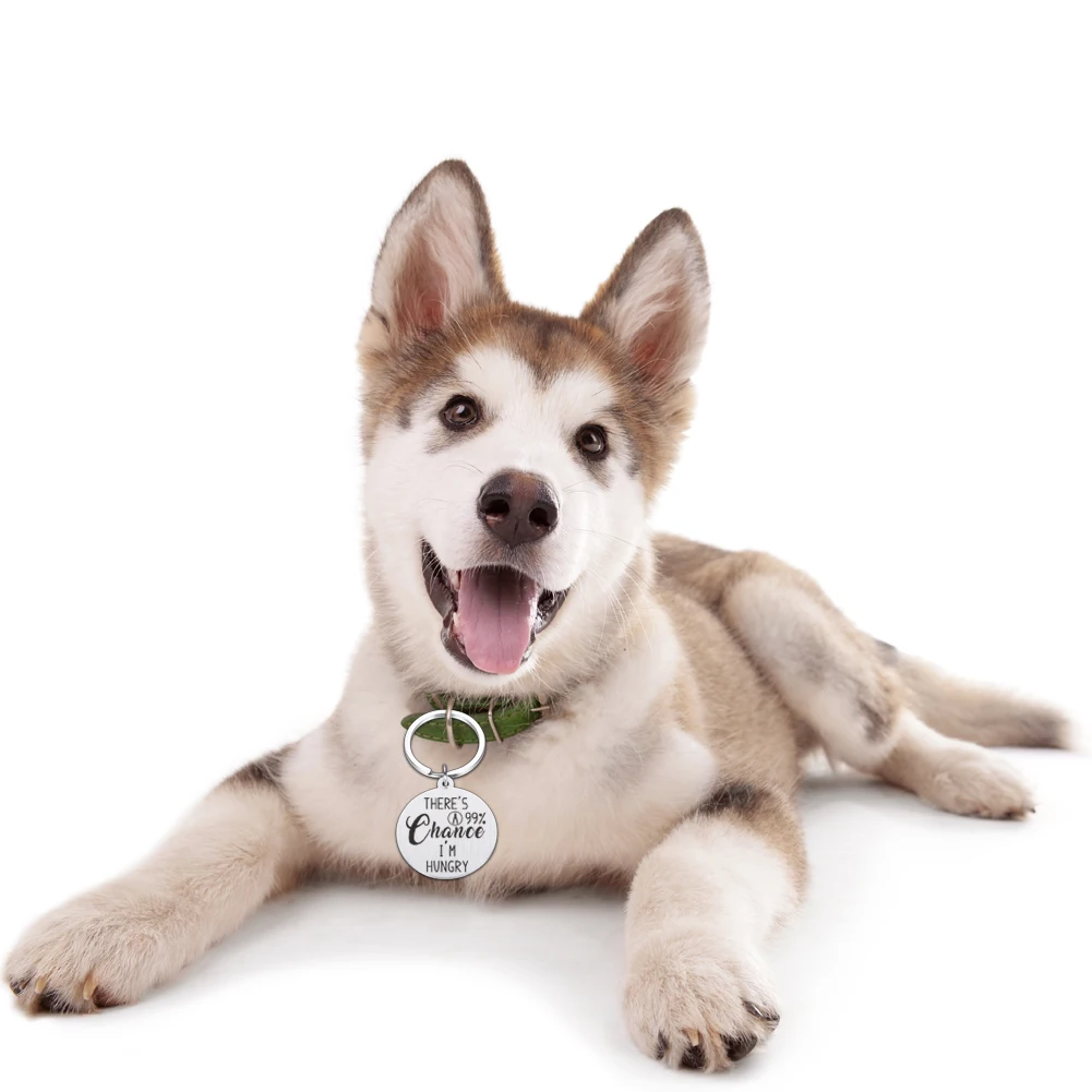 

Pet Products
