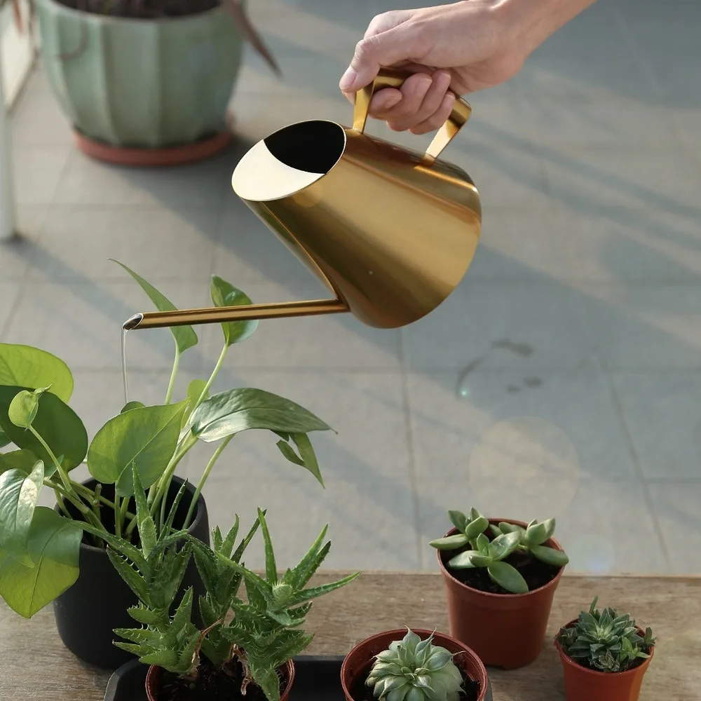 

Watering Can For Plant Indoor Garden House Flower Succulents Long Spout Stainless Steel Golden Watering Pot Bonsai Tools 3 Size