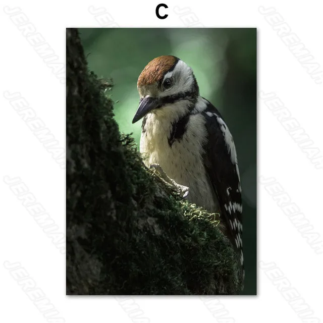 

African Leopard Elephant Animal Poster Nordic Style Canvas Waterproof Ink Print Painting Modern Living Room Bedroom Wall Sticker