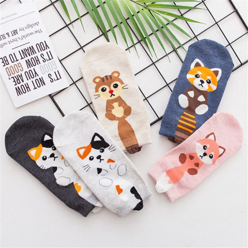 8-5Pairs 5 пар, женские хлопковые носки с рисунками животных, розовые милые короткие носки с котом, короткие носки, повседневные носки с ушками животных и красными сердечками для девочек, Размеры 35-40 - Цвет: 8-5Pairs