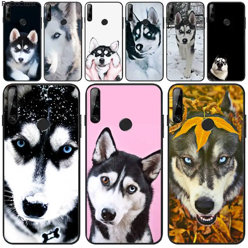 

Husky cute Luxury Phone Case For Huawei Y5 Y6 Y7 Y9 Prime Pro II 2019 2018 Honor 8 8X 9 lite View9